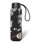 PC Petito Chardon flower